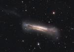     NGC 3628