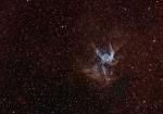   (NGC 2359)   