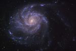 M101:  